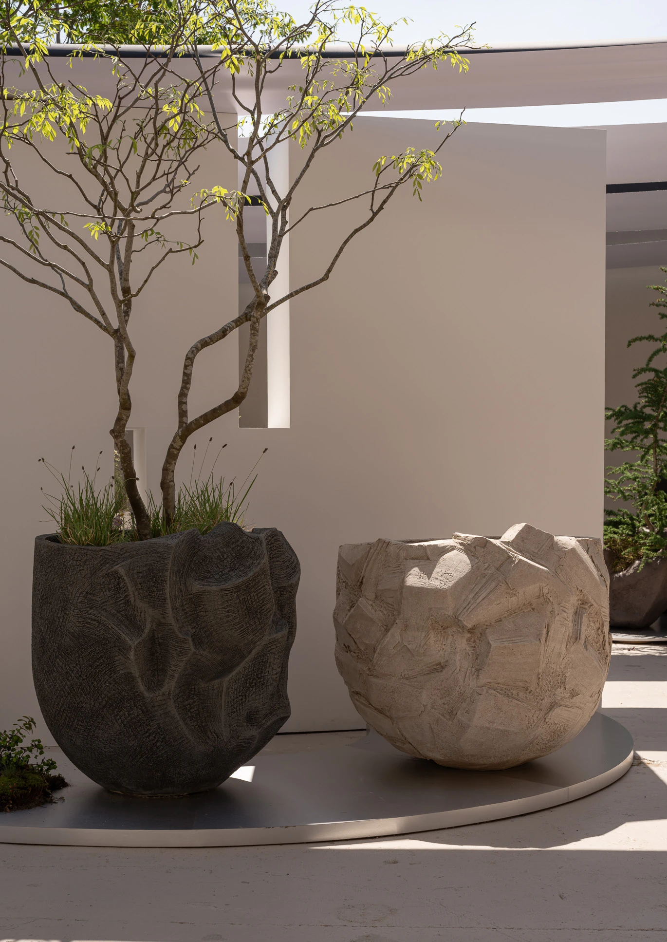 JANUA JANUS — view 1 of 2
